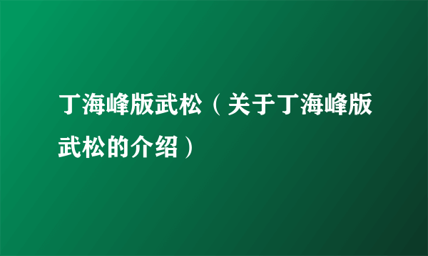 丁海峰版武松（关于丁海峰版武松的介绍）