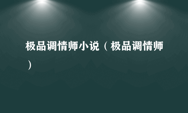 极品调情师小说（极品调情师）