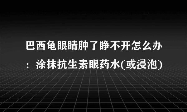 巴西龟眼睛肿了睁不开怎么办：涂抹抗生素眼药水(或浸泡)