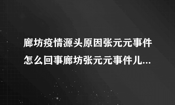 廊坊疫情源头原因张元元事件怎么回事廊坊张元元事件儿子生日快乐什么梗_飞外网