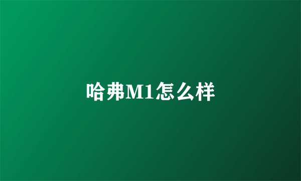 哈弗M1怎么样