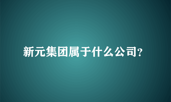 新元集团属于什么公司？