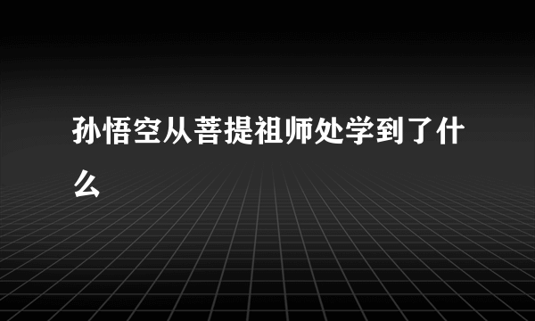 孙悟空从菩提祖师处学到了什么