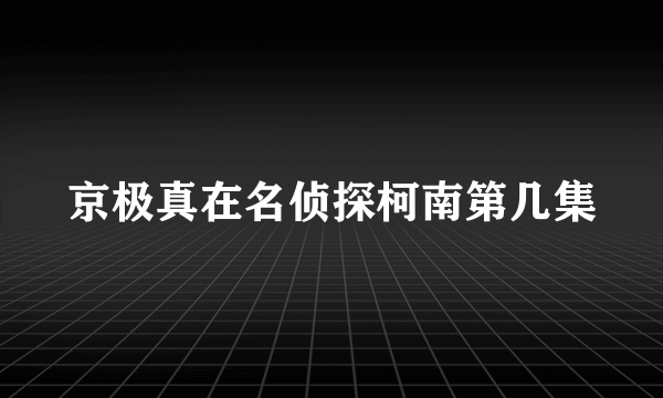 京极真在名侦探柯南第几集