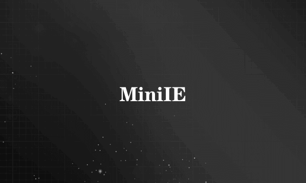 MiniIE