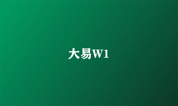 大易W1