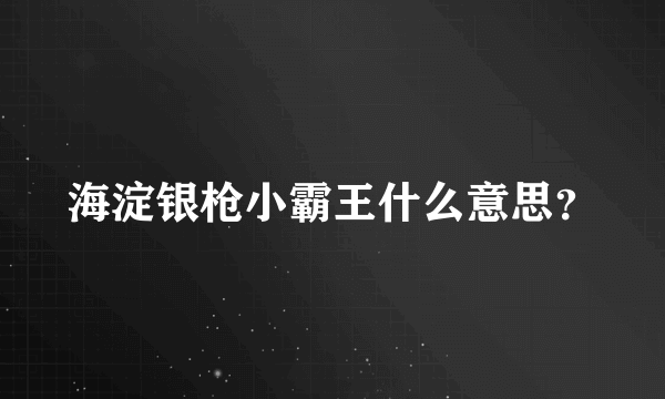 海淀银枪小霸王什么意思？