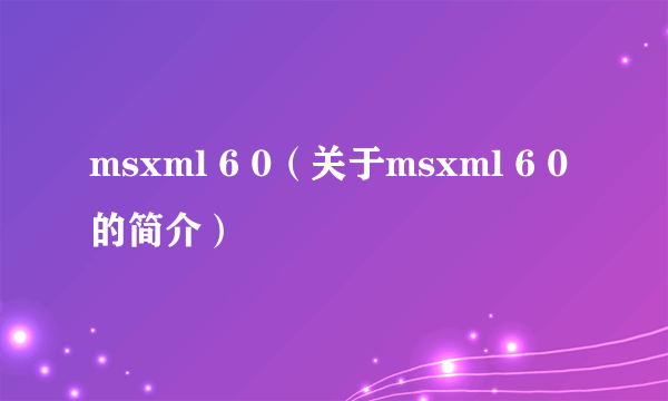 msxml 6 0（关于msxml 6 0的简介）