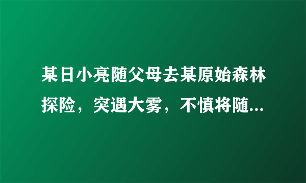 某日小亮随父母去某原始森林探险，突遇大雾，不慎将随身带的指南针丢失而迷路。机灵的小亮用手机拨通了求助电话，求助站通过全球定位系统（GPS），马上在地图上找到了小亮的准确地点，帮助小亮一家顺利走出丛林。据此回答4～6题。