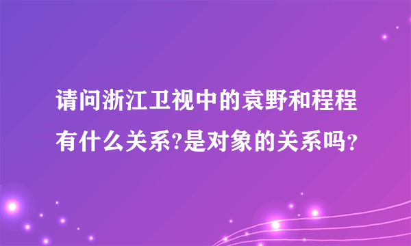 请问浙江卫视中的袁野和程程有什么关系?是对象的关系吗？