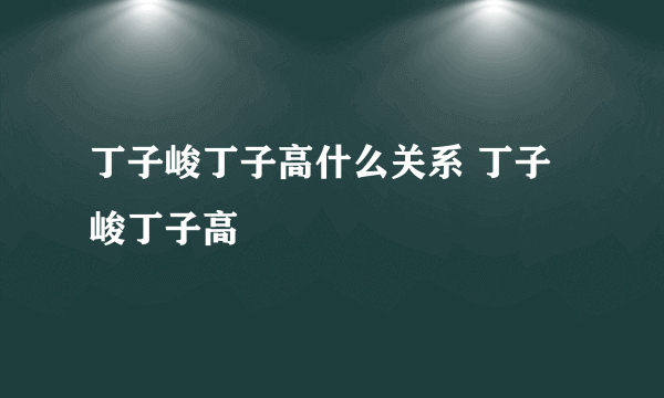 丁子峻丁子高什么关系 丁子峻丁子高