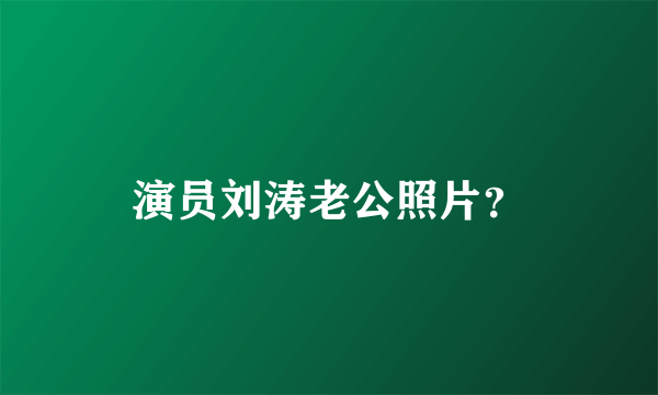 演员刘涛老公照片？