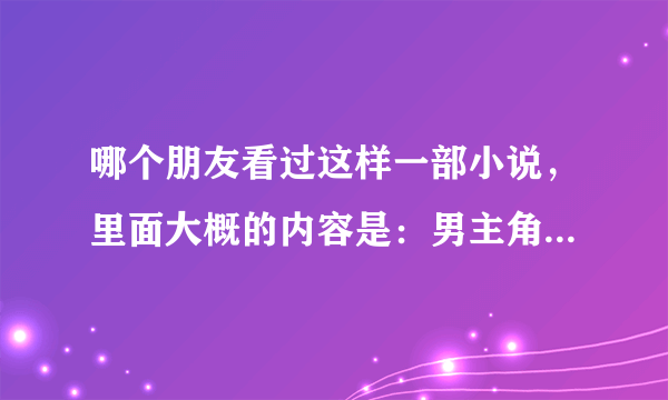 哪个朋友看过这样一部小说，里面大概的内容是：男主角的位家世很好，女主角是从西点军校毕业的