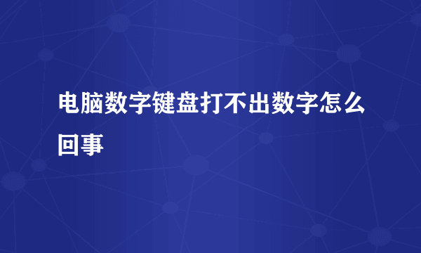 电脑数字键盘打不出数字怎么回事