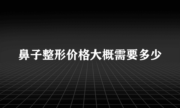 鼻子整形价格大概需要多少