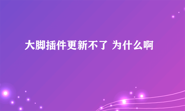 大脚插件更新不了 为什么啊