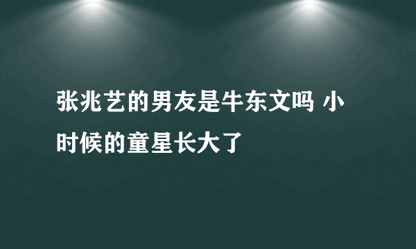 张兆艺的男友是牛东文吗 小时候的童星长大了