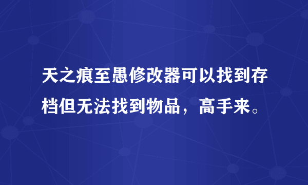 天之痕至愚修改器可以找到存档但无法找到物品，高手来。