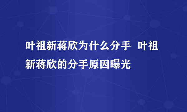 叶祖新蒋欣为什么分手  叶祖新蒋欣的分手原因曝光