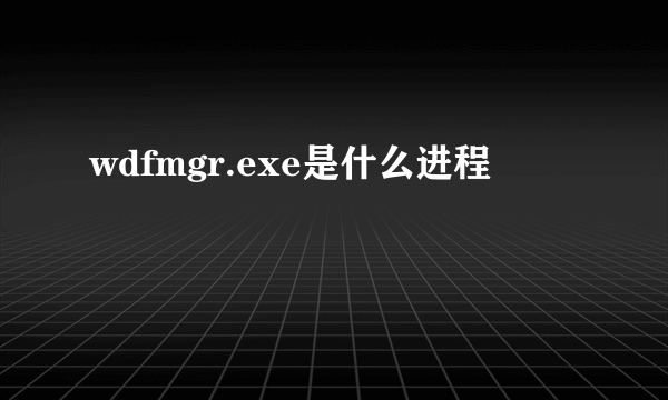 wdfmgr.exe是什么进程