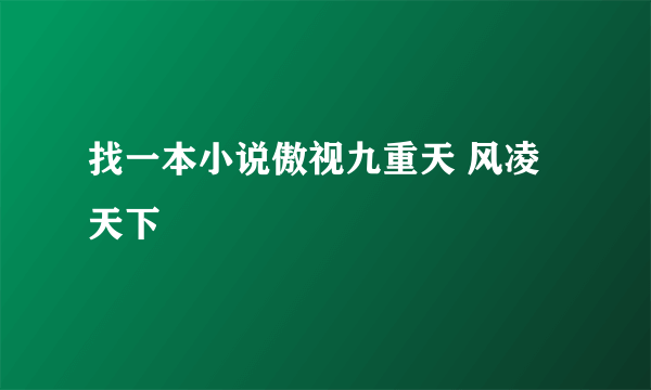 找一本小说傲视九重天 风凌天下