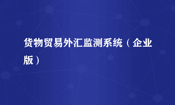 货物贸易外汇监测系统（企业版）