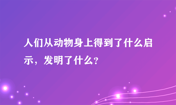 人们从动物身上得到了什么启示，发明了什么？