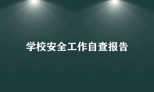 学校安全工作自查报告