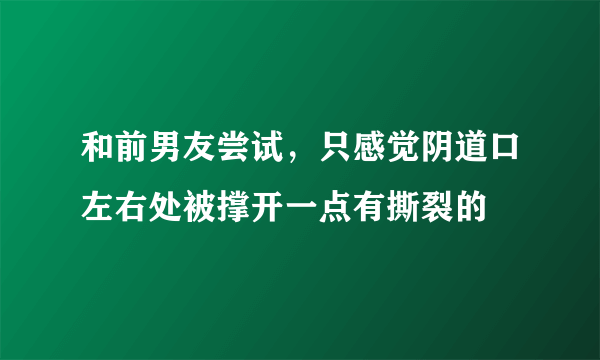 和前男友尝试，只感觉阴道口左右处被撑开一点有撕裂的