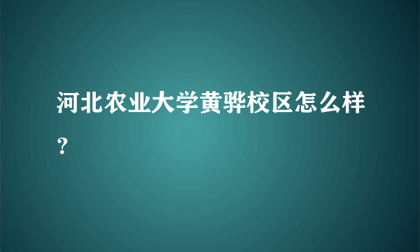 河北农业大学黄骅校区怎么样？