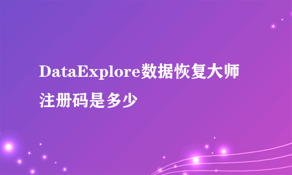 DataExplore数据恢复大师 注册码是多少