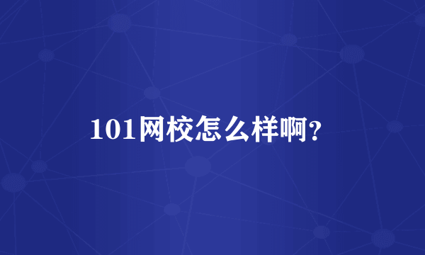 101网校怎么样啊？