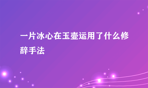 一片冰心在玉壶运用了什么修辞手法