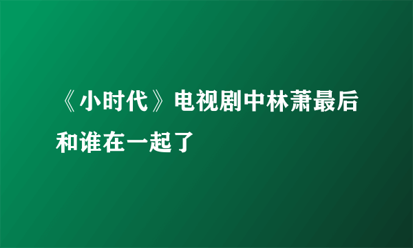 《小时代》电视剧中林萧最后和谁在一起了