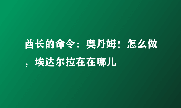 酋长的命令：奥丹姆！怎么做，埃达尔拉在在哪儿