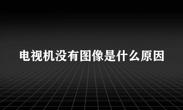 电视机没有图像是什么原因