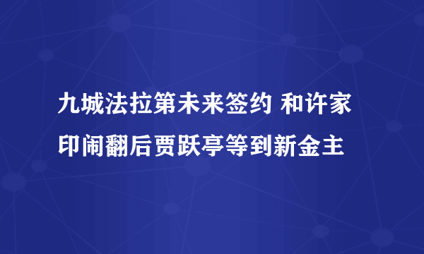 九城法拉第未来签约 和许家印闹翻后贾跃亭等到新金主