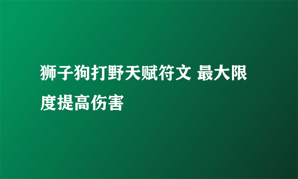 狮子狗打野天赋符文 最大限度提高伤害