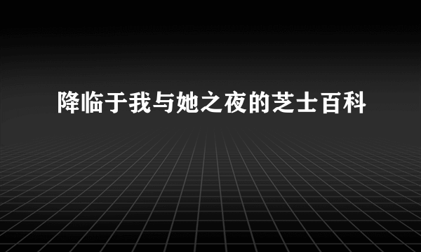 降临于我与她之夜的芝士百科