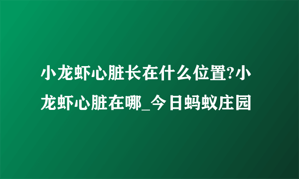 小龙虾心脏长在什么位置?小龙虾心脏在哪_今日蚂蚁庄园