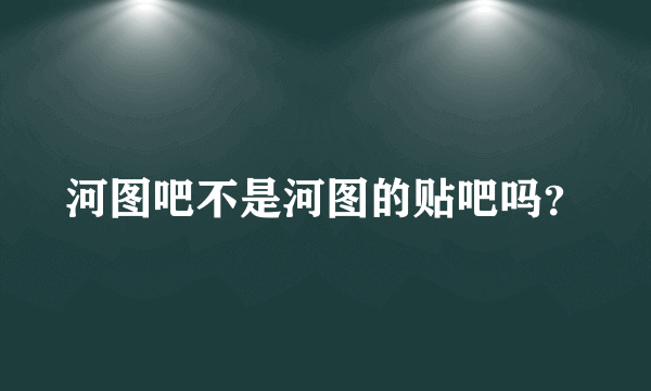 河图吧不是河图的贴吧吗？