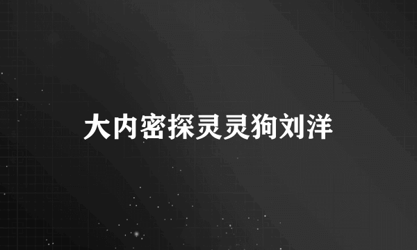 大内密探灵灵狗刘洋