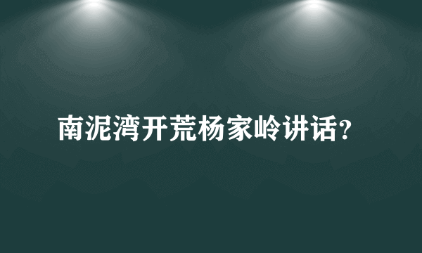 南泥湾开荒杨家岭讲话？