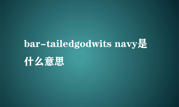 bar-tailedgodwits navy是什么意思