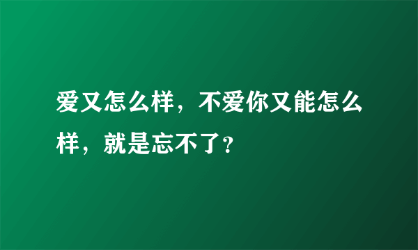 爱又怎么样，不爱你又能怎么样，就是忘不了？