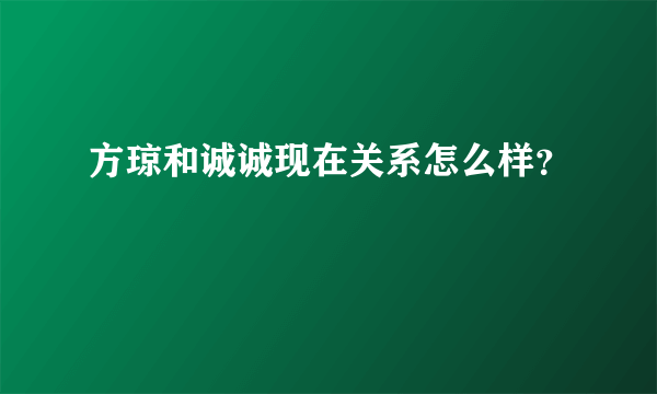 方琼和诚诚现在关系怎么样？