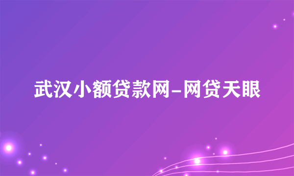 武汉小额贷款网-网贷天眼