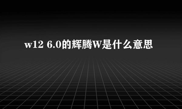 w12 6.0的辉腾W是什么意思