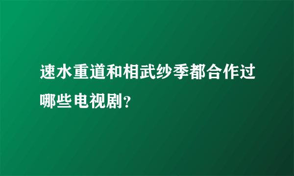 速水重道和相武纱季都合作过哪些电视剧？