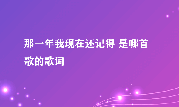 那一年我现在还记得 是哪首歌的歌词